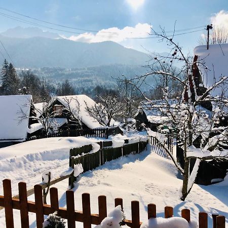 Villa Viktória- neakceptujeme mladé partie Terchová Esterno foto
